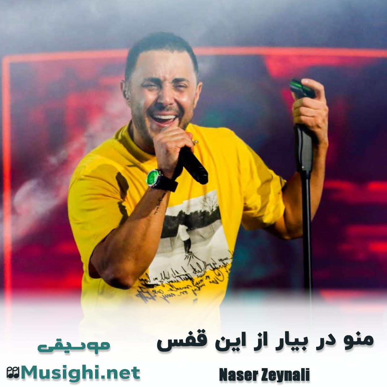 مشاهده تصویر دانلود آهنگ منو در بیار از این قفس ناصر زینعلی دانلود اهنگ منو در بیار از این قفس ناصر زینعلی